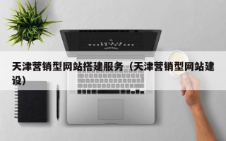 巴音郭楞蒙古天津营销型网站搭建服务（天津营销型网站建设）